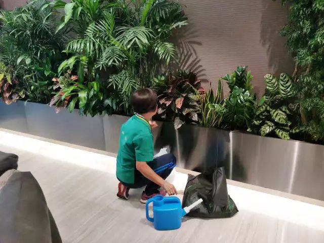 养护人员服务准则
