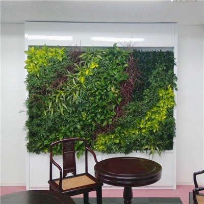 立体植物墙
