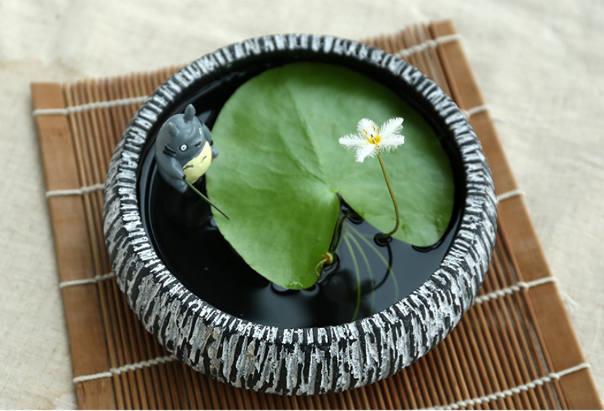 2017年成都绿植租赁企业整体业绩小幅提速的可能