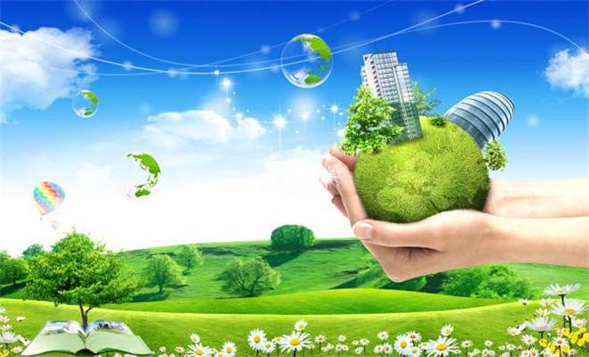 成都办公室植物租赁过程中很多植物都拥有净化