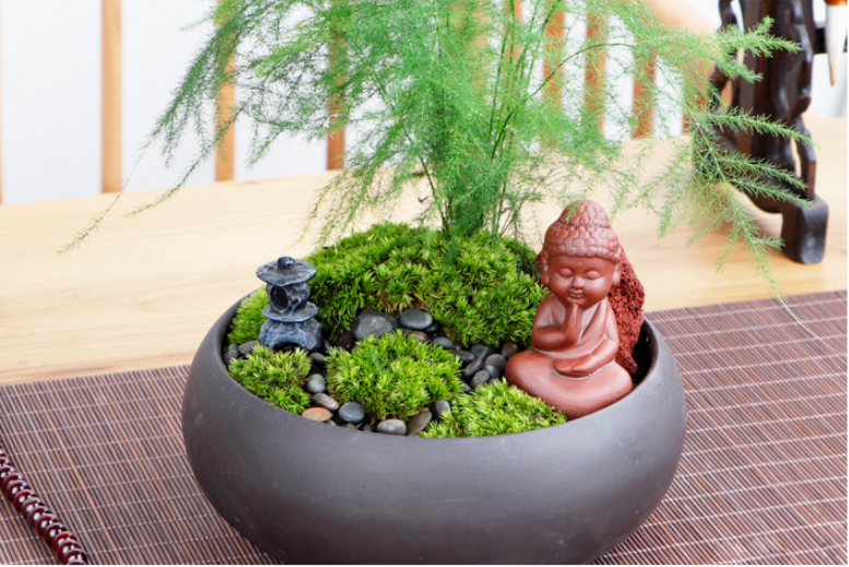 成都植物租赁公司最不想遇见的问题是花卉出现