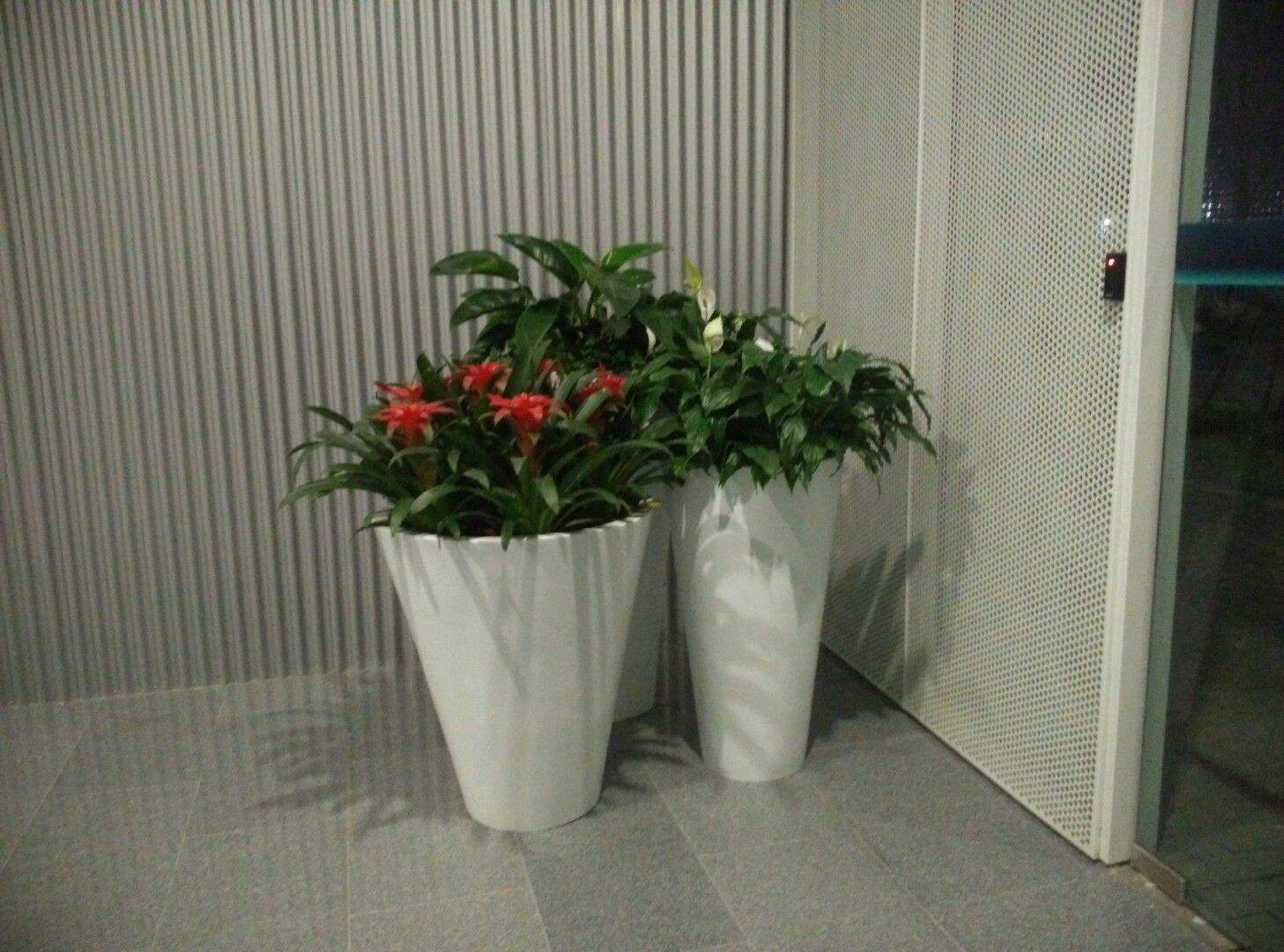 花卉产业调查:租摆不买花 鲜花租摆渐成时尚