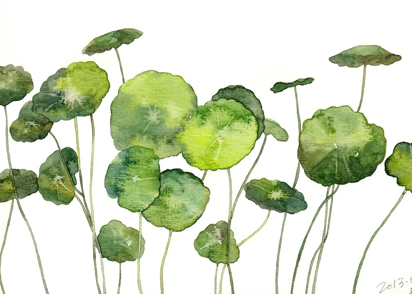 成都室内植物租赁的选择与作用