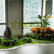 植物租赁