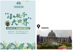 绿植租赁公司:微景观绿植DIY,清新夏日!
