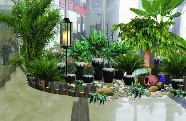 绿植租摆的各种栽培介质介绍以及选择公司的技(图3) 绿植租摆的各种栽培介质介绍以及选择公司的技(图3)