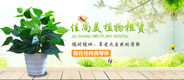 正确养花有利于身体健康(图1) 正确养花有利于身体健康(图1)